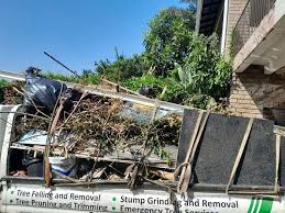 Best Residential Junk Removal  in Plum Grove, TX