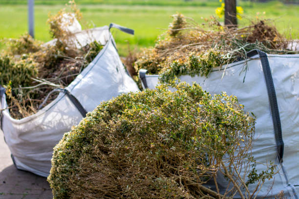 Demolition Debris Removal in Plum Grove, TX